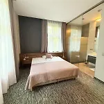ゴルトフスキー カトヴィツェ ホジュフ 4*