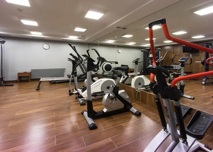 Gorczowski Katowice 4*